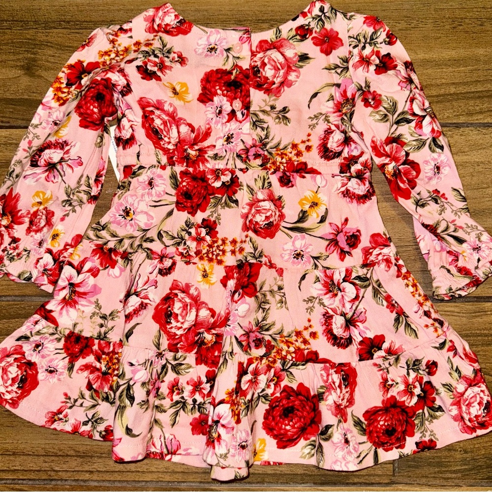 Old Navy Long Sleeve Pink with Red/White Flowers & touches of green Sz 12-18 mos - Picture 2 of 5